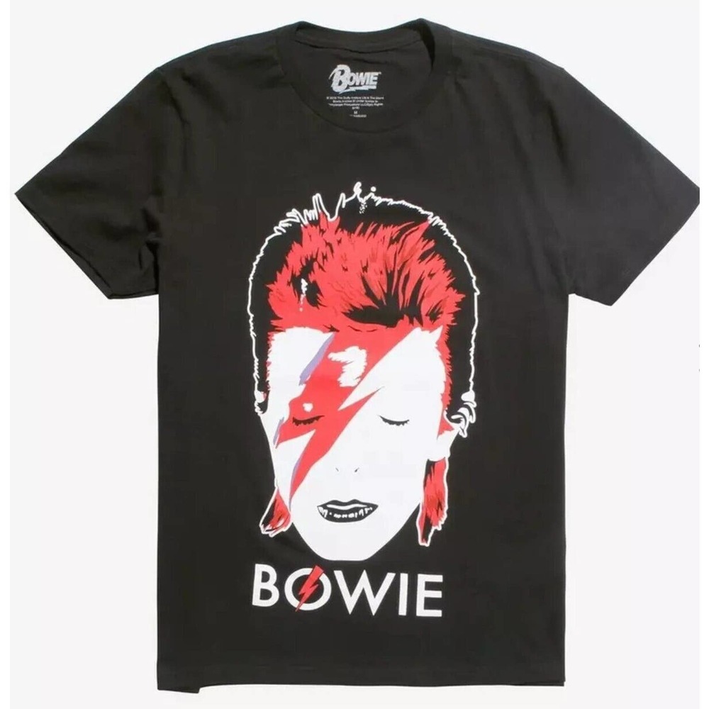 BOWIE Ziggy Cult face T shirt Fruit Of The Loom Cotton Black L Tee